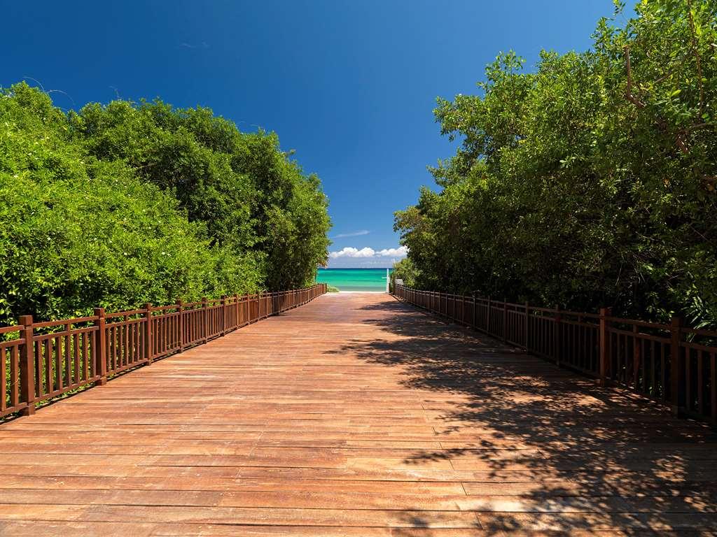 The Reserve Paradisus Playa Del Carmen (Adults Only) טבע תמונה